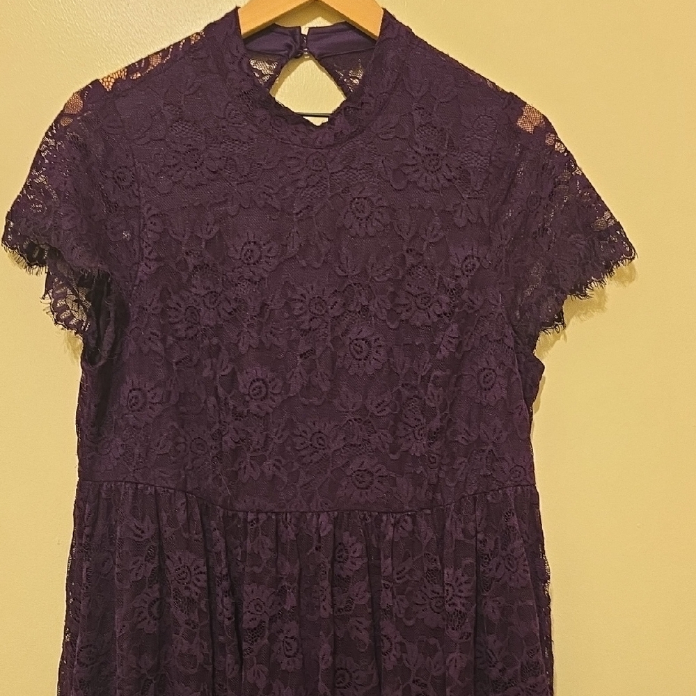 Torrid Deep Purple Lace Dress